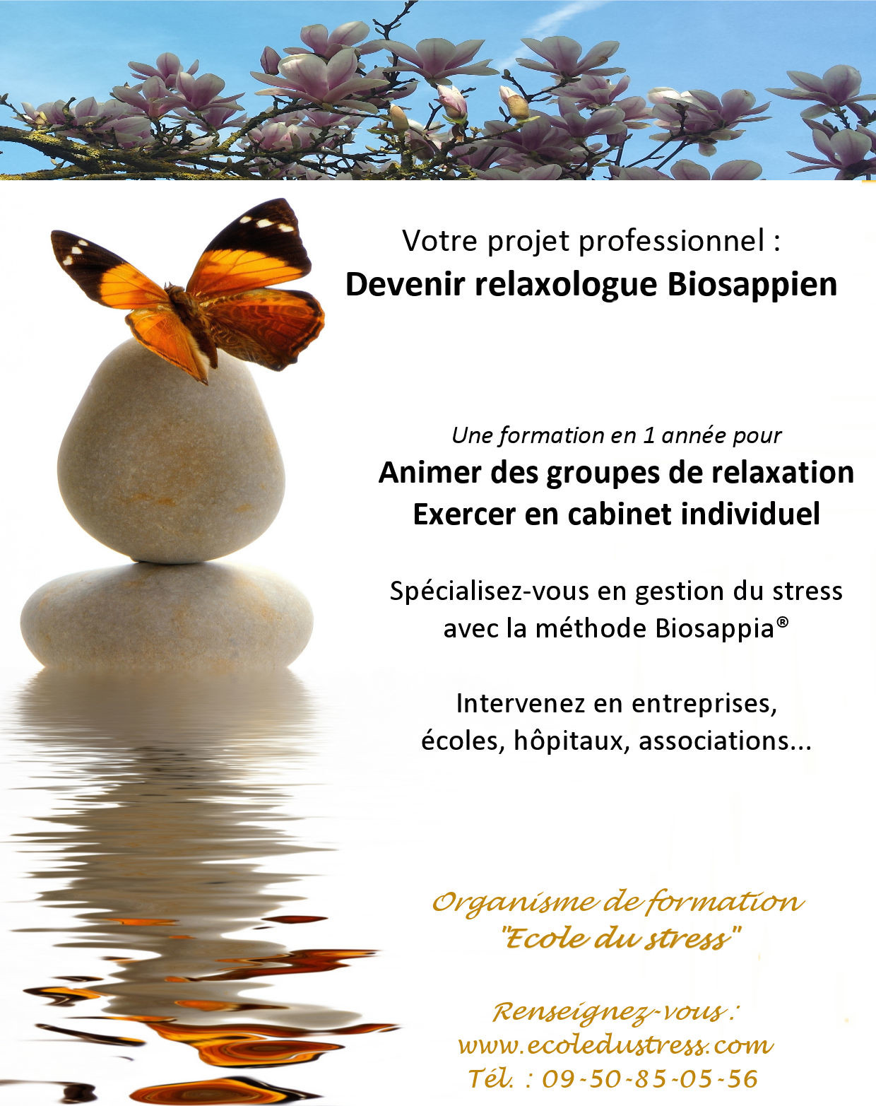 École du stress Flyer