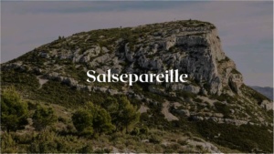 Salsepareille Montagne