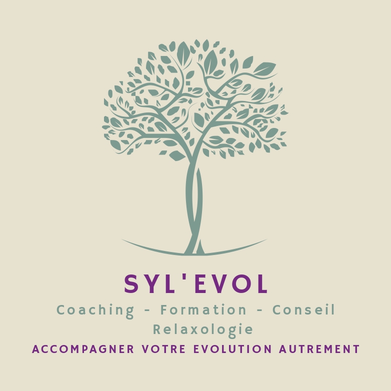 Syl’Evol Flyer