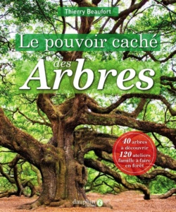 Auprès de mon arbre - Sylvothérapie - bienfaits des arbres